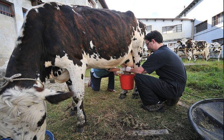 MinAgricultura presenta en Italia oportunidades para invertir en la cadena láctea colombiana