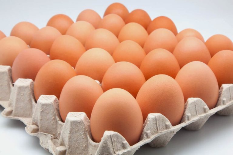 Aunque la producción de huevo ha aumentado, no alcanza a cubrir la demanda de todo el país