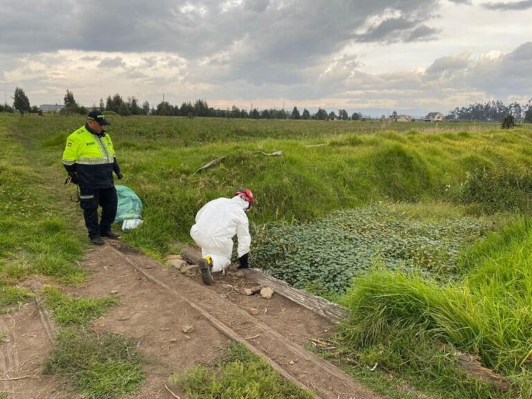 Reportan nueva masacre de tres personas cerca a Bogotá